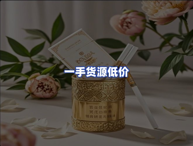 专业团队